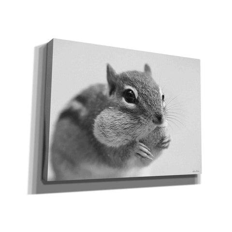Image of 'Chippy' by Lori Deiter, Canvas Wall Art