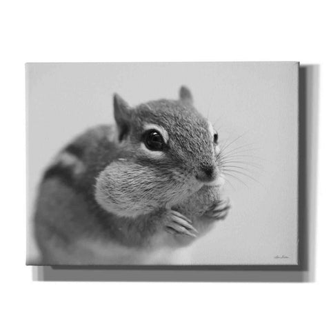 Image of 'Chippy' by Lori Deiter, Canvas Wall Art