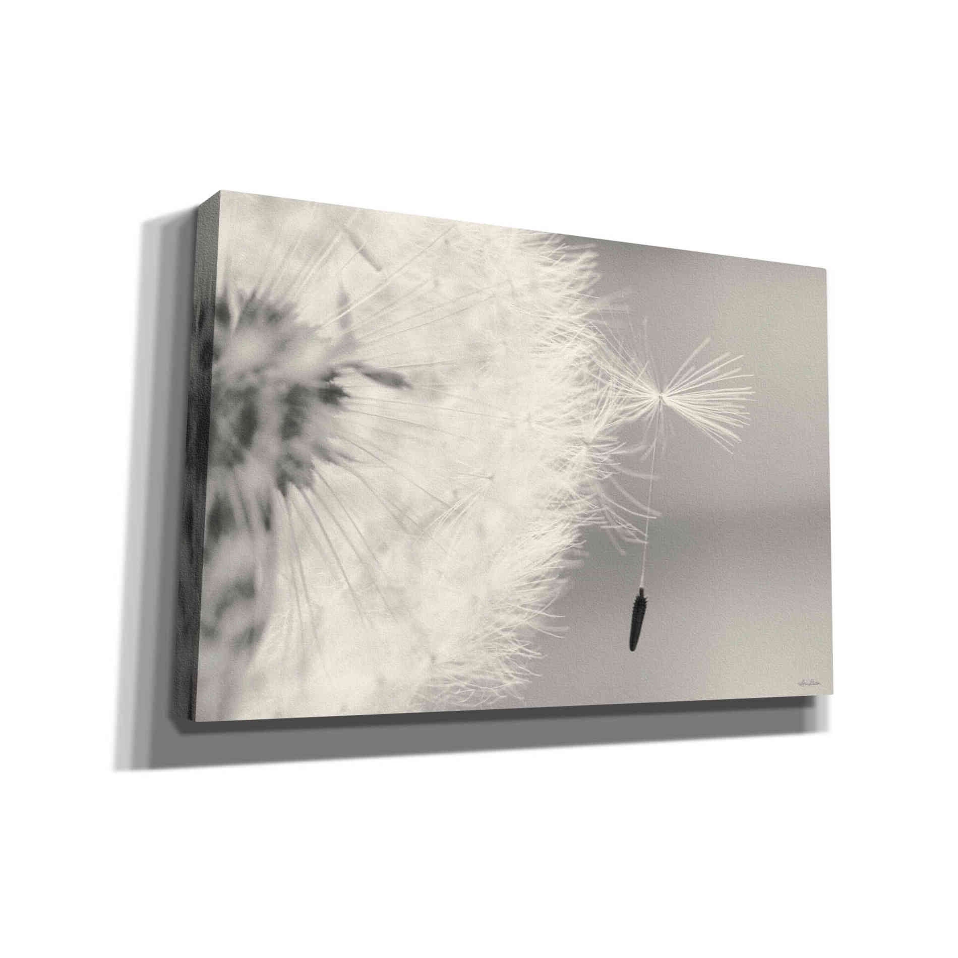 'It Only Takes One' by Lori Deiter, Canvas Wall Art