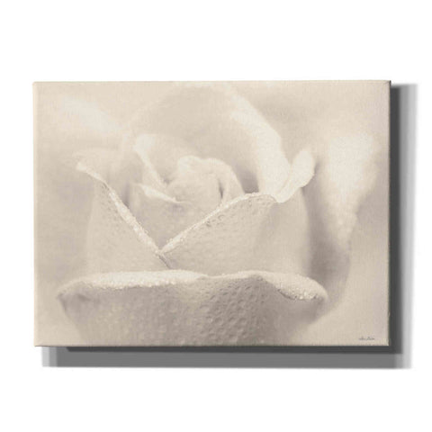 Image of 'White Rose' by Lori Deiter, Canvas Wall Art