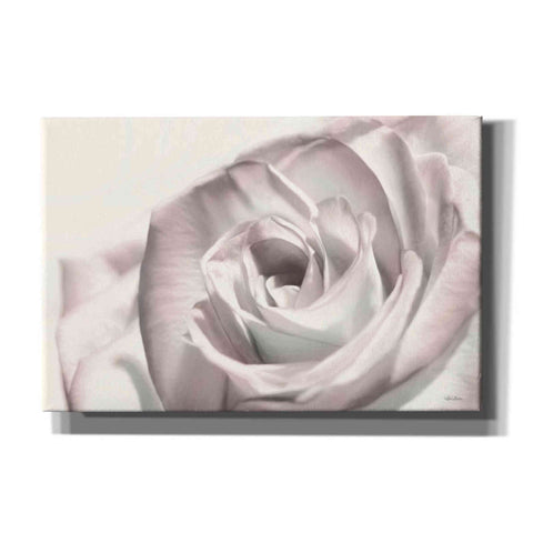 Image of 'Blush Rose I' by Lori Deiter, Canvas Wall Art