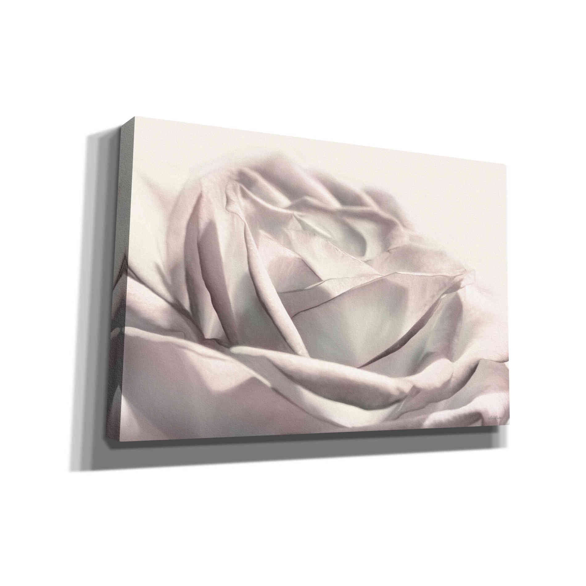 'Blush Rose II' by Lori Deiter, Canvas Wall Art