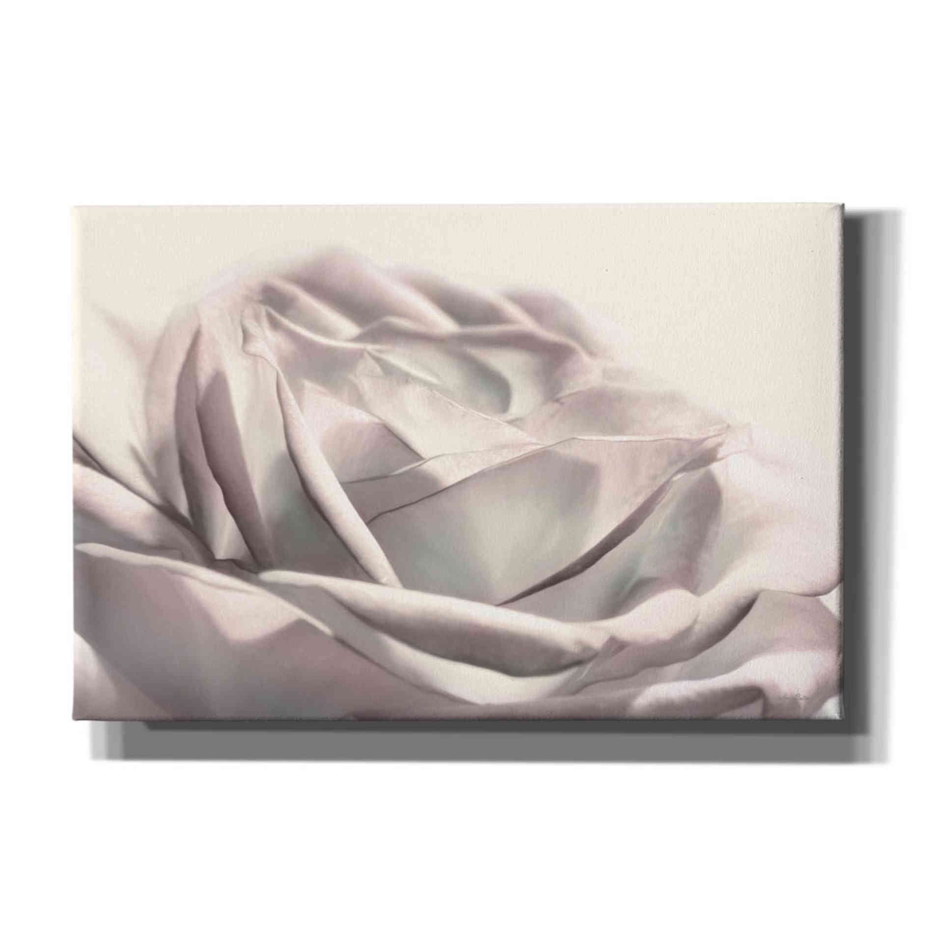 'Blush Rose II' by Lori Deiter, Canvas Wall Art