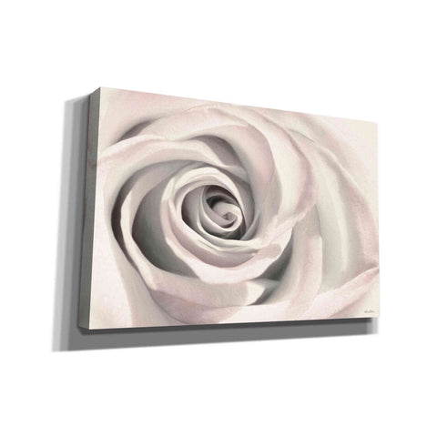 Image of 'Blush Rose III' by Lori Deiter, Canvas Wall Art