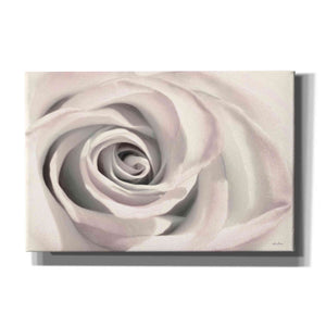 'Blush Rose III' by Lori Deiter, Canvas Wall Art