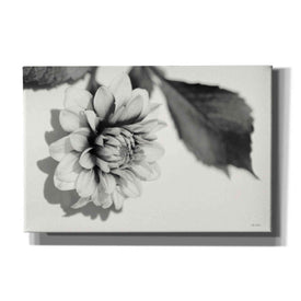'White Dahlia I' by Lori Deiter, Canvas Wall Art