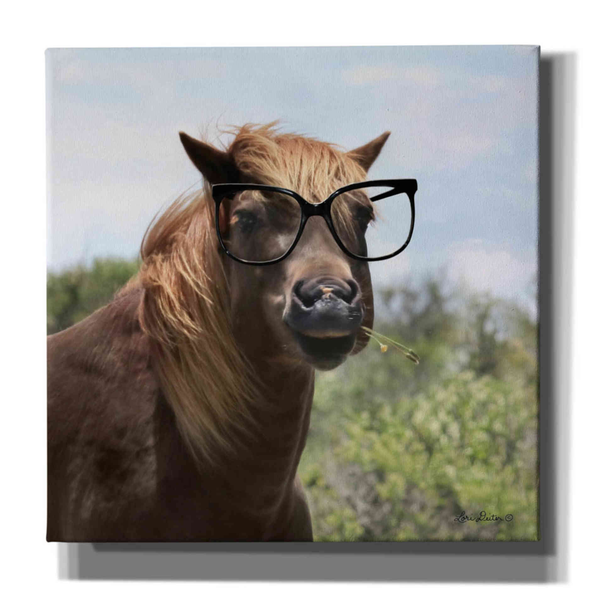 'Let Your Horse Do the Thinking' by Lori Deiter, Canvas Wall Art