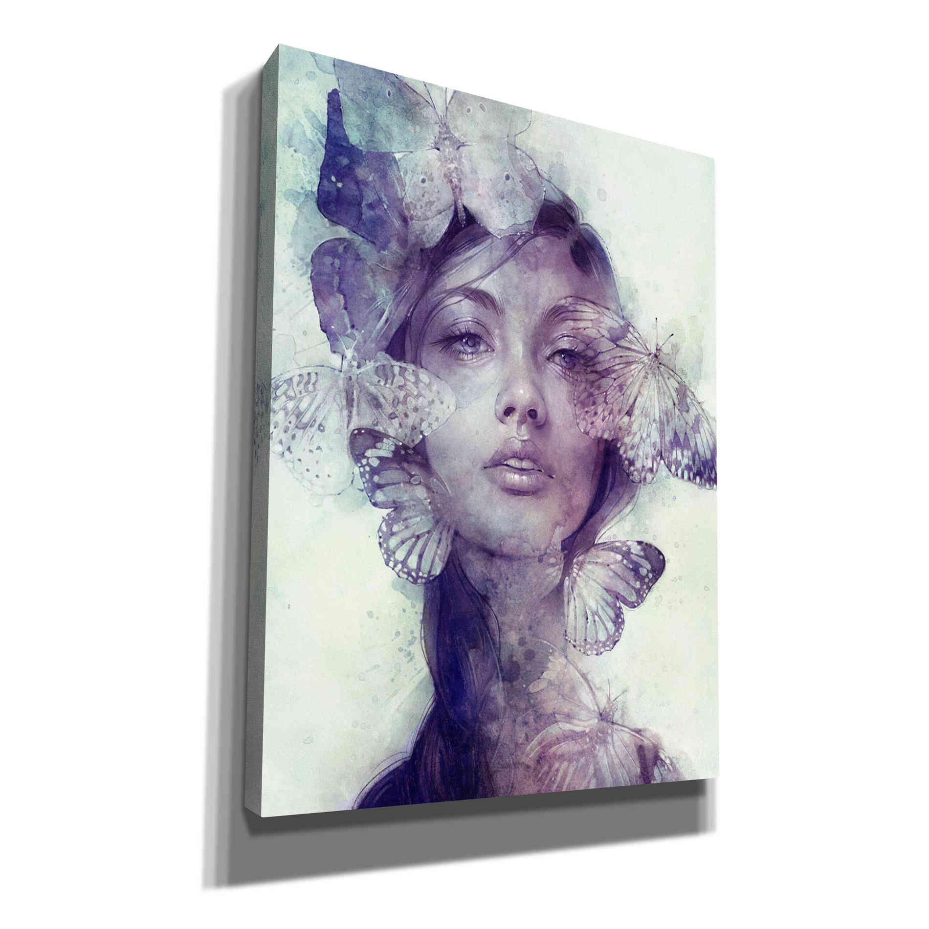 'Adorn' by Anna Dittman, Canvas Wall Art