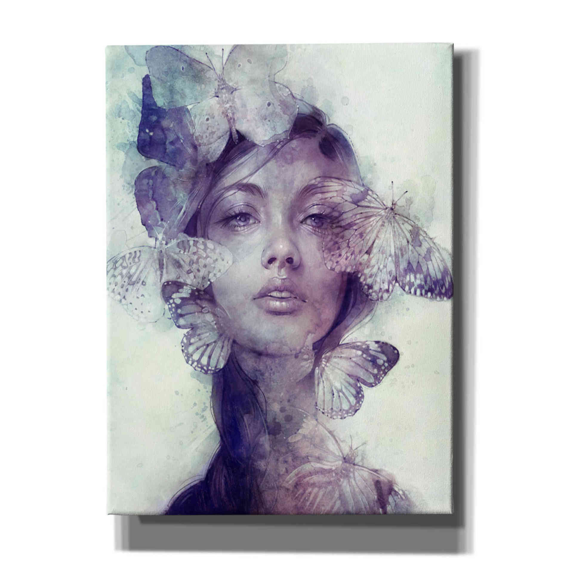 'Adorn' by Anna Dittman, Canvas Wall Art