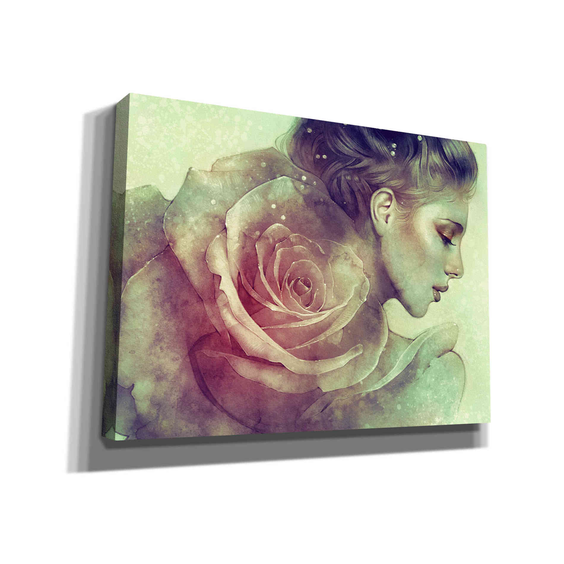 'June' by Anna Dittman, Canvas Wall Art