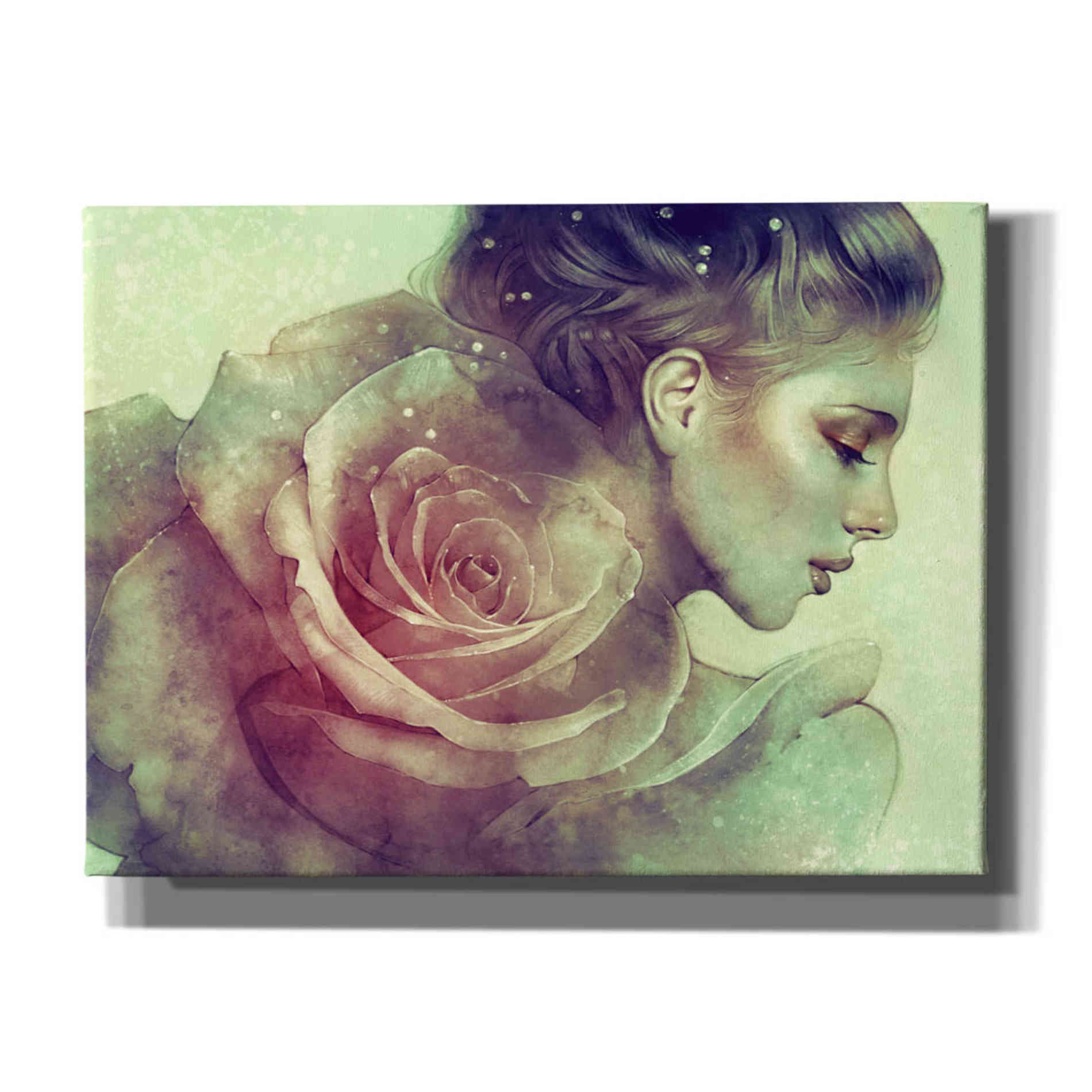 'June' by Anna Dittman, Canvas Wall Art