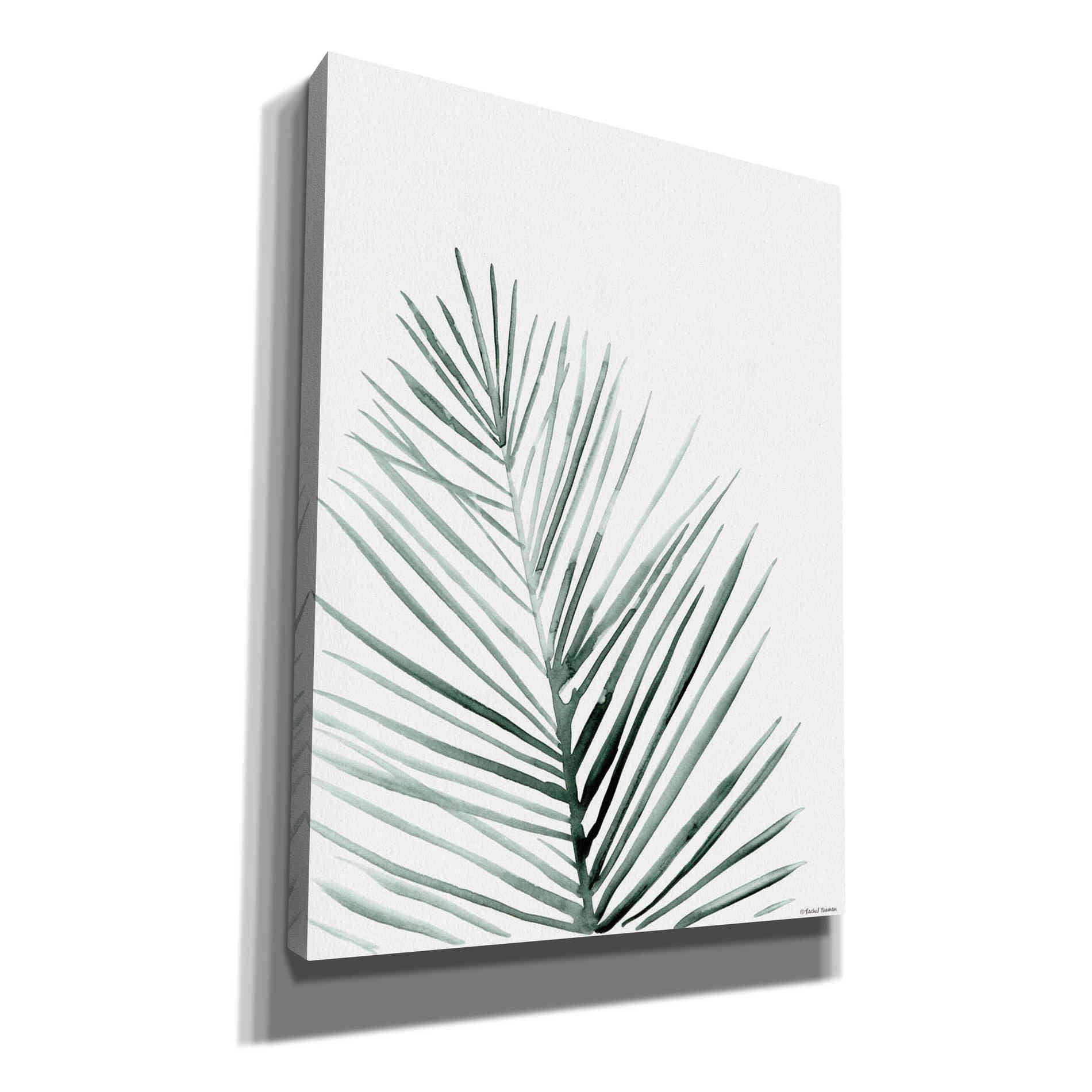 'Summer Botanicals 1' by Rachel Nieman, Canvas Wall Art