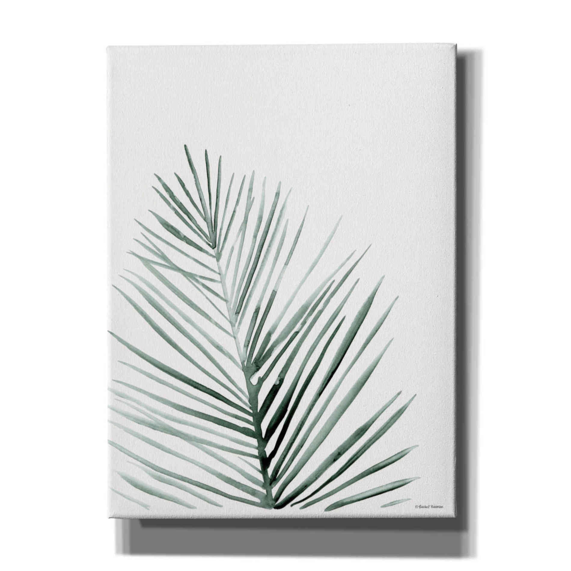 'Summer Botanicals 1' by Rachel Nieman, Canvas Wall Art