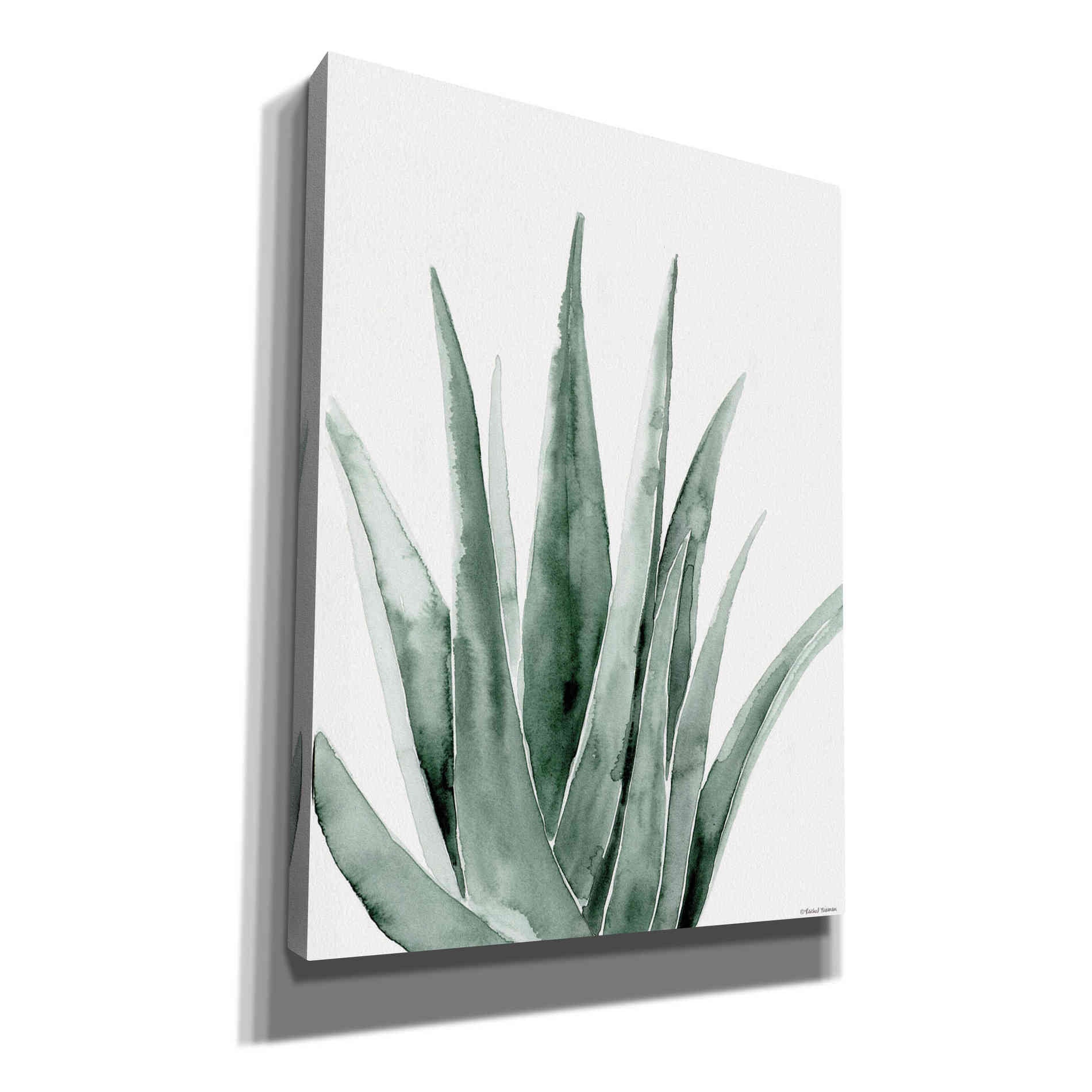 'Summer Botanicals 2' by Rachel Nieman, Canvas Wall Art