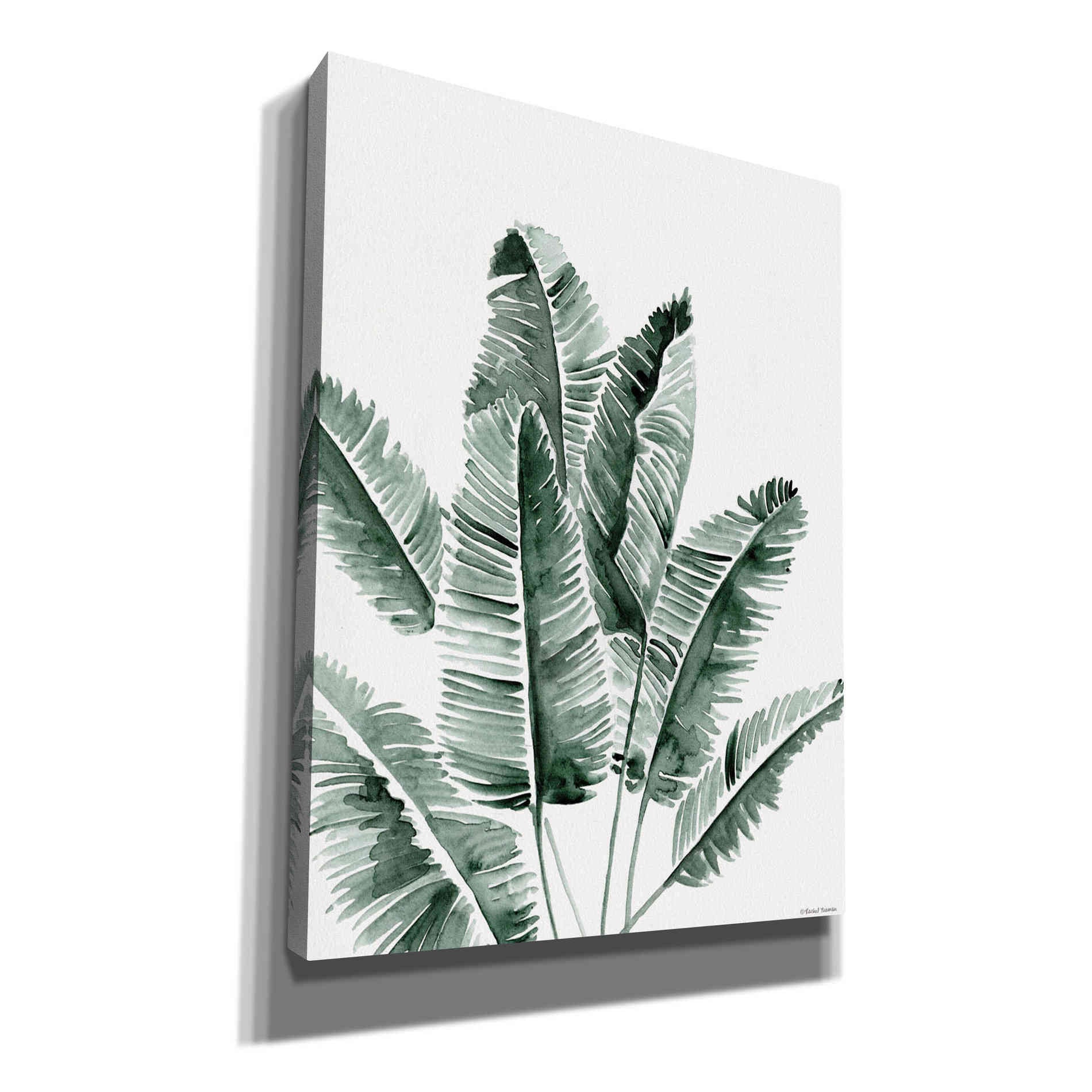 'Summer Botanicals 3' by Rachel Nieman, Canvas Wall Art