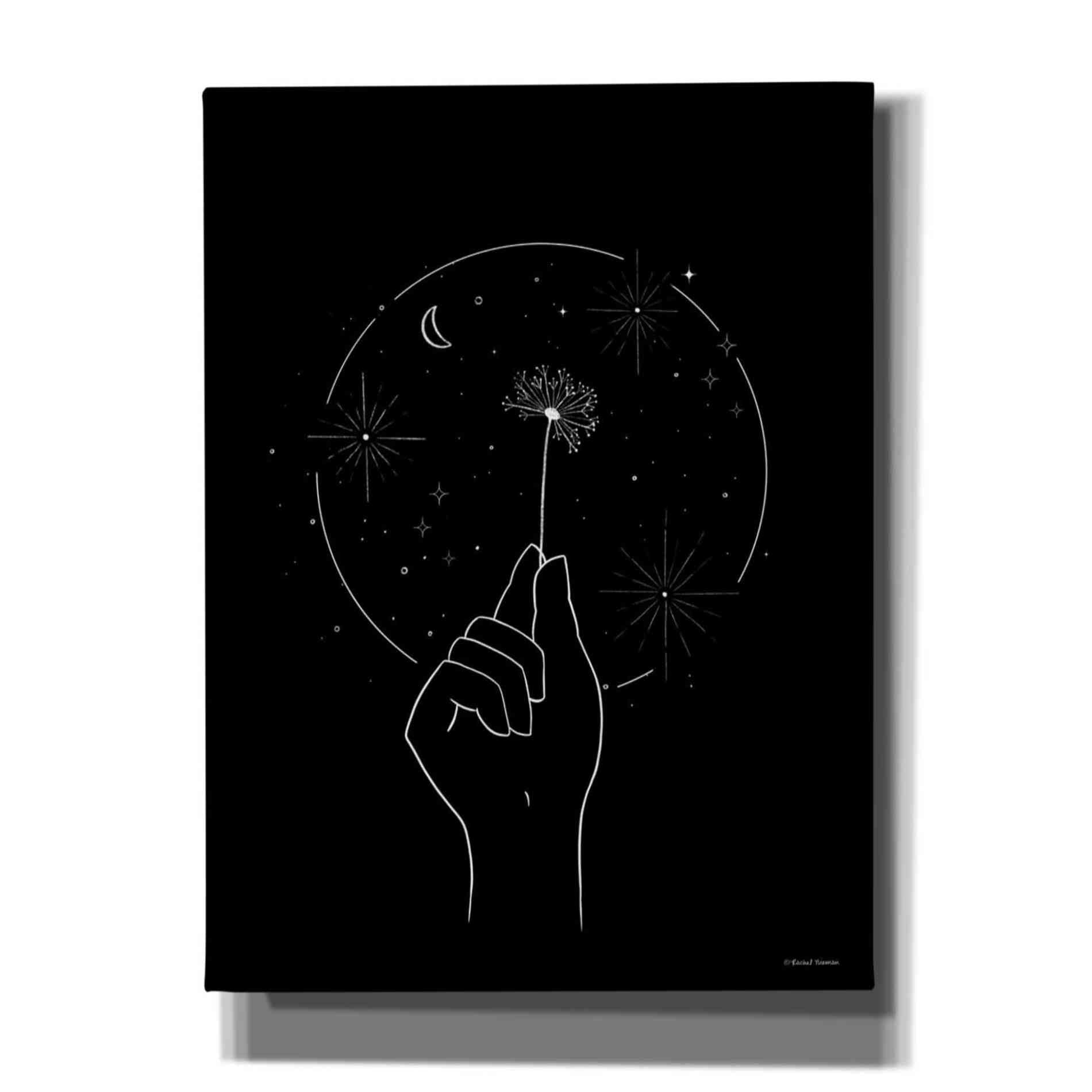 'Space Dandelion' by Rachel Nieman, Canvas Wall Art