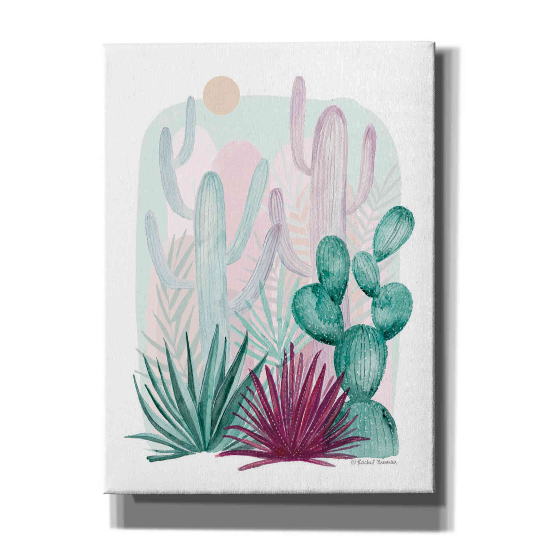 'Cactus Summer' by Rachel Nieman, Canvas Wall Art