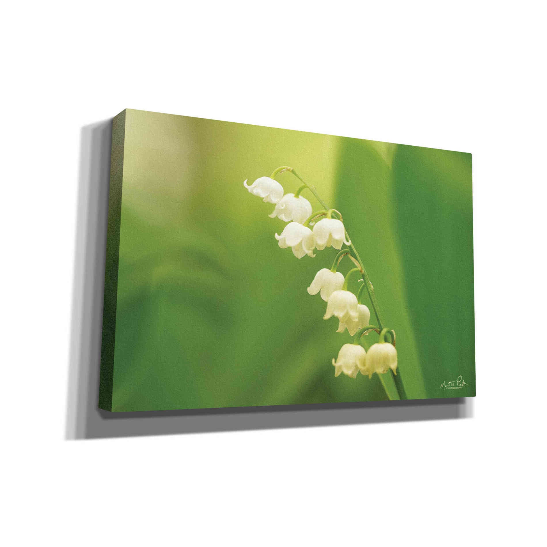 'Lily of the Valley' by Martin Podt, Canvas Wall Art