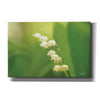 'Lily of the Valley' by Martin Podt, Canvas Wall Art
