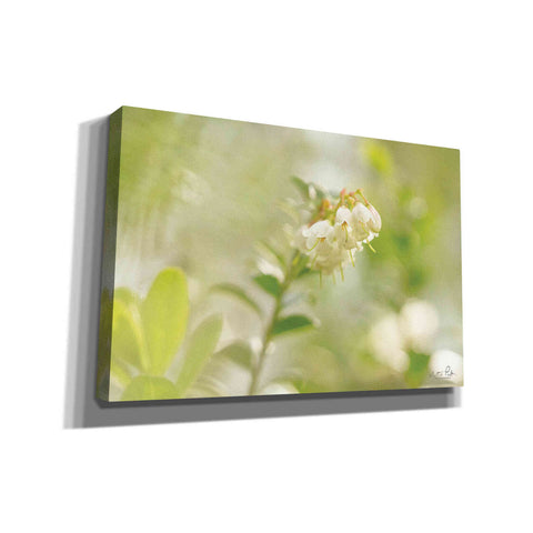 Image of 'Lingonberry' by Martin Podt, Canvas Wall Art