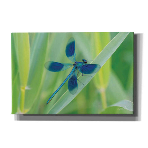 Image of 'Damselfly in Blue' by Martin Podt, Canvas Wall Art