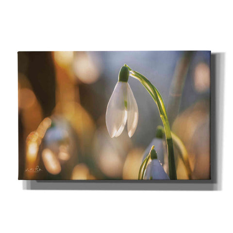 Image of 'Shining Beauty' by Martin Podt, Canvas Wall Art