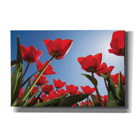 Image of 'Look Up in Red' by Martin Podt, Canvas Wall Art