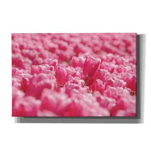 Image of 'Pink Field' by Martin Podt, Canvas Wall Art