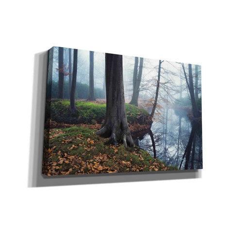 Image of 'Creepy Outside World' by Martin Podt, Canvas Wall Art