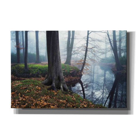 Image of 'Creepy Outside World' by Martin Podt, Canvas Wall Art
