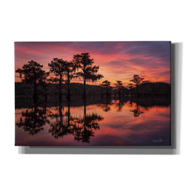 'Swamp on Fire' by Martin Podt, Canvas Wall Art