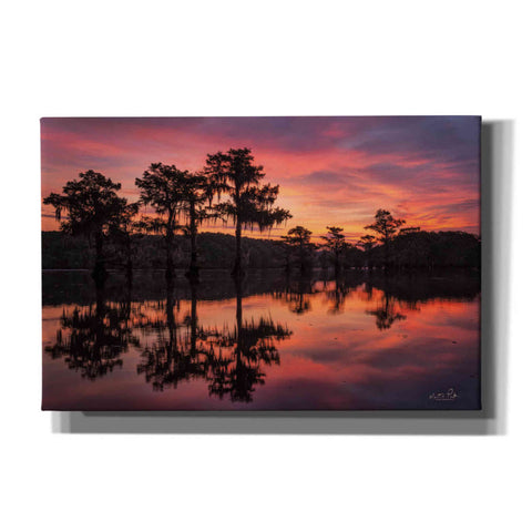 Image of 'Swamp on Fire' by Martin Podt, Canvas Wall Art