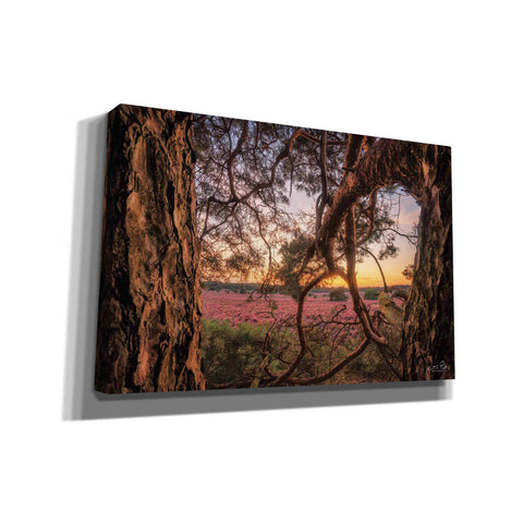 Image of 'In Between' by Martin Podt, Canvas Wall Art