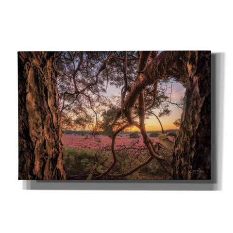 Image of 'In Between' by Martin Podt, Canvas Wall Art