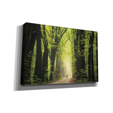 Image of 'Among Giants in Springtime' by Martin Podt, Canvas Wall Art