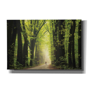 'Among Giants in Springtime' by Martin Podt, Canvas Wall Art