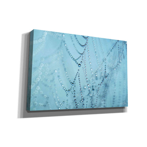 Image of 'Nature's Jewels I' by Martin Podt, Canvas Wall Art