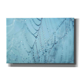 'Nature's Jewels I' by Martin Podt, Canvas Wall Art