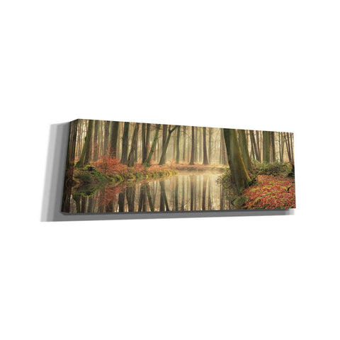 Image of 'The Healing Power of Forests' by Martin Podt, Canvas Wall Art