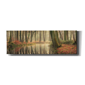 'The Healing Power of Forests' by Martin Podt, Canvas Wall Art