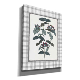 'Floral Medley 1' by Stellar Design Studio, Canvas Wall Art