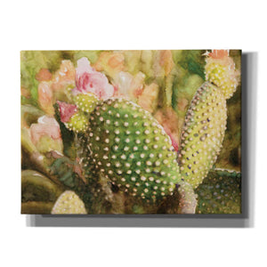 'Cactus Flowers' by Stellar Design Studio, Canvas Wall Art