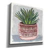 'Potted Agave I' by Stellar Design Studio, Canvas Wall Art
