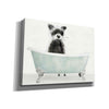 'Vintage Tub with Racoon' by Stellar Design Studio, Canvas Wall Art
