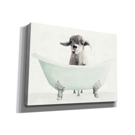 'Vintage Tub with Goat' by Stellar Design Studio, Canvas Wall Art