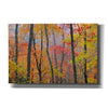 'Autumn Colors' by Patrick Zephyr, Canvas Wall Art