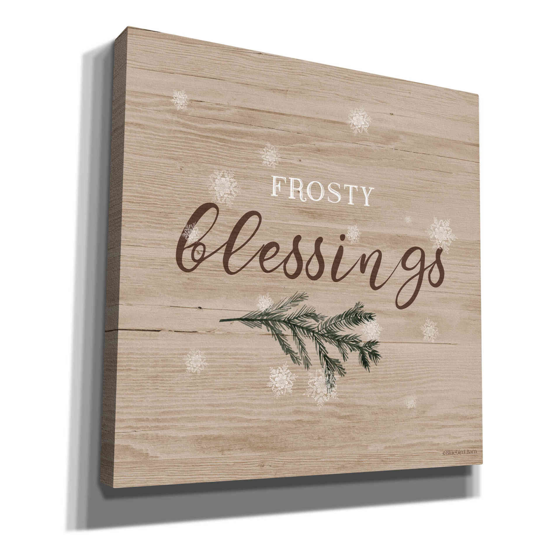 'Frosty Blessings I' by Bluebird Barn, Canvas Wall Art