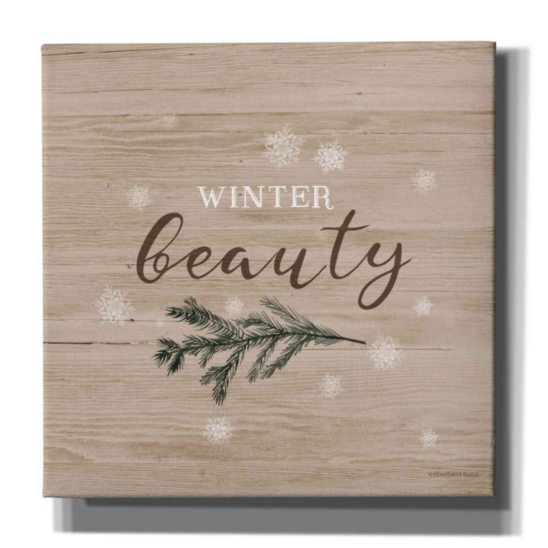 'Winter Beauty I' by Bluebird Barn, Canvas Wall Art