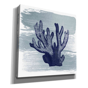 'Brushed Midnight Blue Elkhorn Coral' by Bluebird Barn, Canvas Wall Art