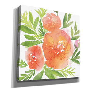 'Peachy Floral I' by Bluebird Barn, Canvas Wall Art